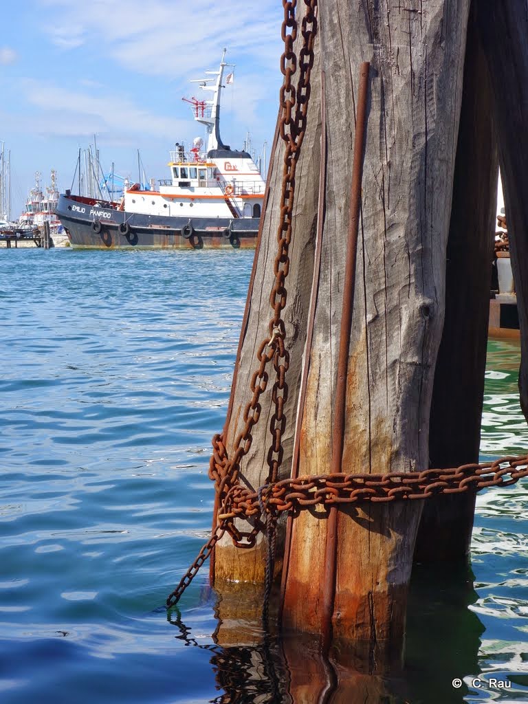 Chioggia