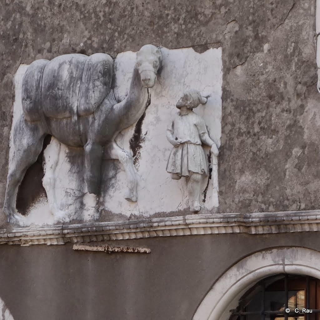 Rio de la Sensa : le langage des pierres sculptées...