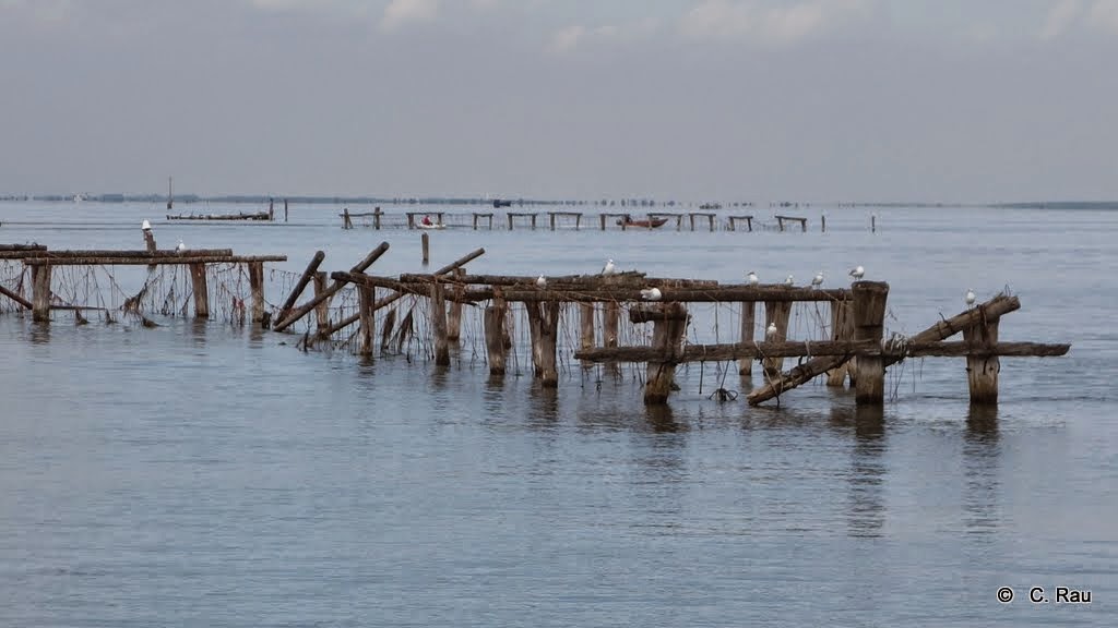 Paysages de la lagune sud...