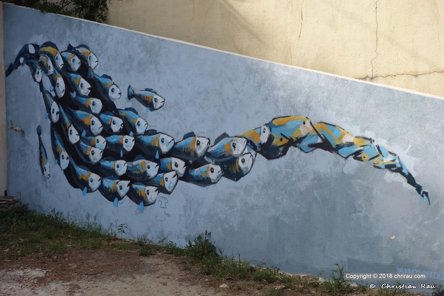 Mur d'une propriété d'Ensuès la Redonne (Bouches du Rhône)