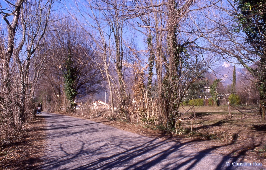 Les prairies jouxtant le Chemin des Oiseaux, en 1998..