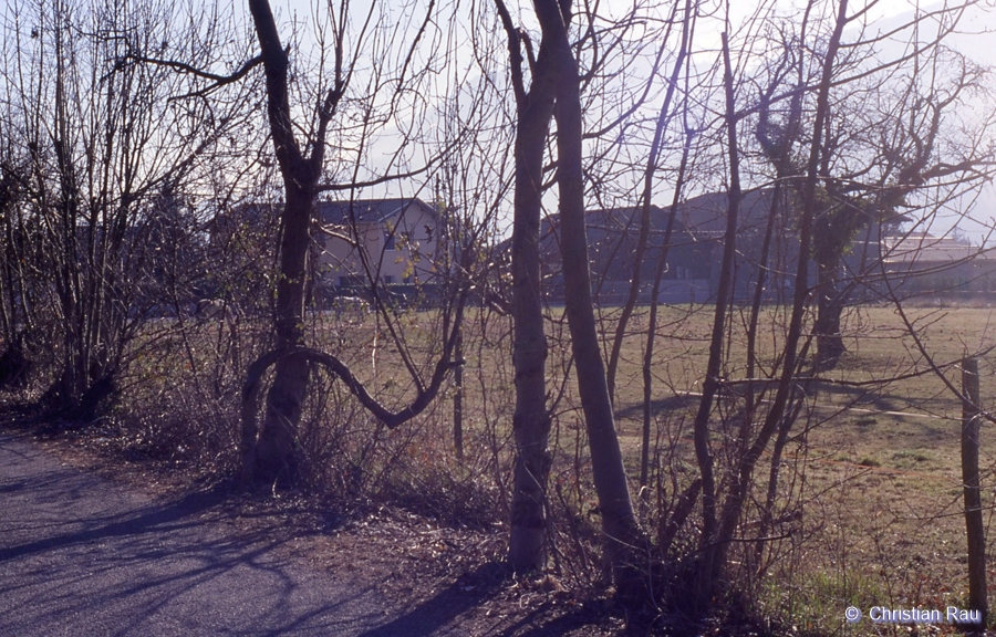 Les prairies jouxtant le Chemin des Oiseaux, en 1998...