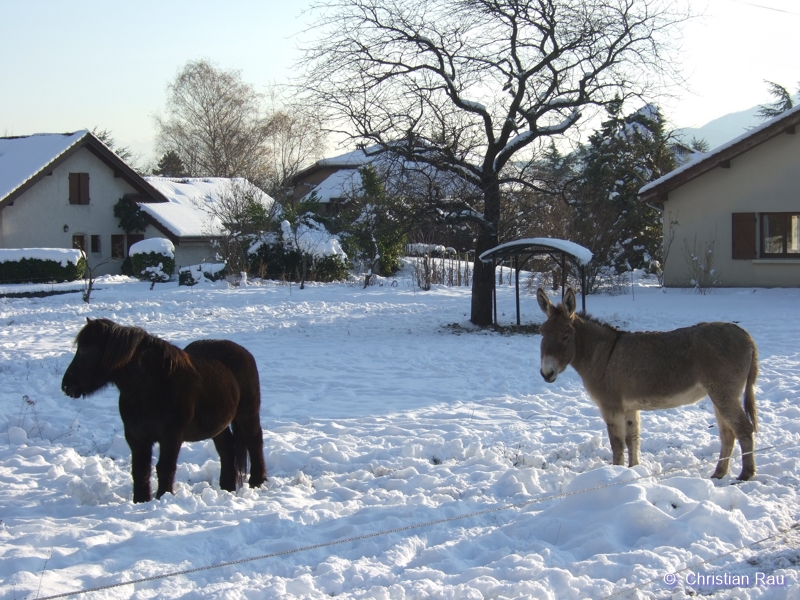 Rue de la Richarde en décembre 2010