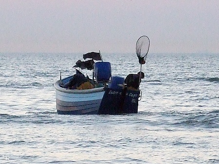 Les pêcheurs des flobarts profitent de chaque marée... Les pêcheurs des flobarts profitent de chaque marée...