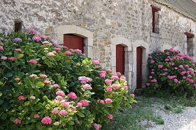 Cour de ferme à Tardinghen Cour de ferme à Tardinghen