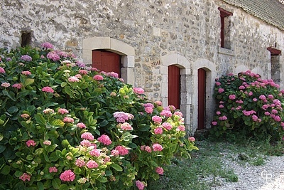 Cour de ferme à Tardinghen