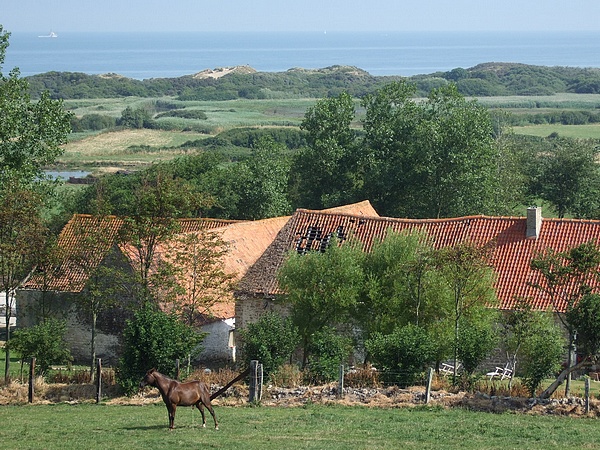 Campagne et mer à Tardinghen