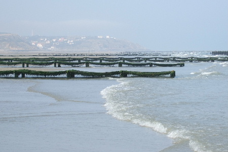 Derrière les bouchots, le Cap Gris-Nez émerge des brumes du matin