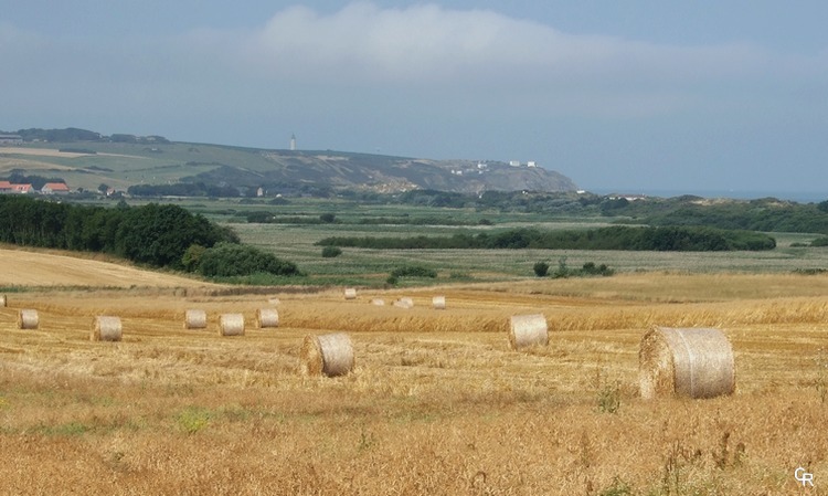 Les paillassons roulés, le Cap Gris-Nez et la mer Les paillassons roulés, le Cap Gris-Nez et la mer