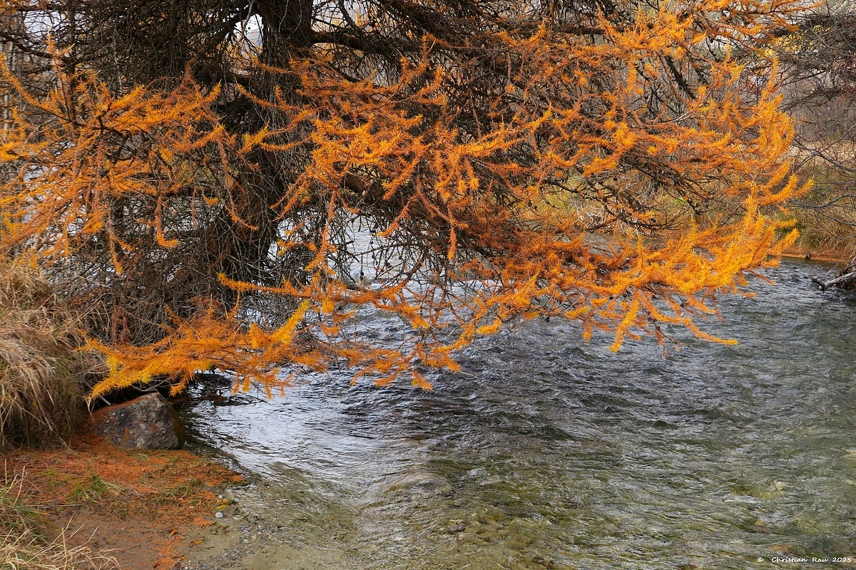 N&eacute;vache, 27 octobre 2025, la Clar&eacute;e aux Iscles &copy; Christian Rau 2025
