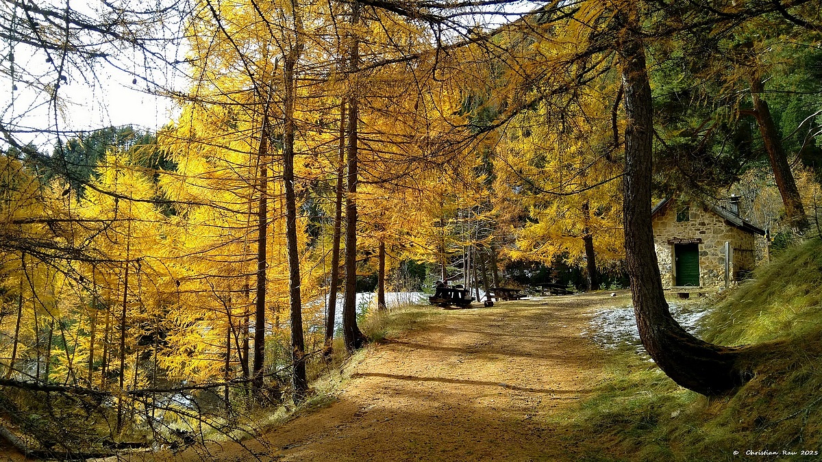 Au chalet forestier des Thures, le 31 octobre  &copy; Christian Rau 2025