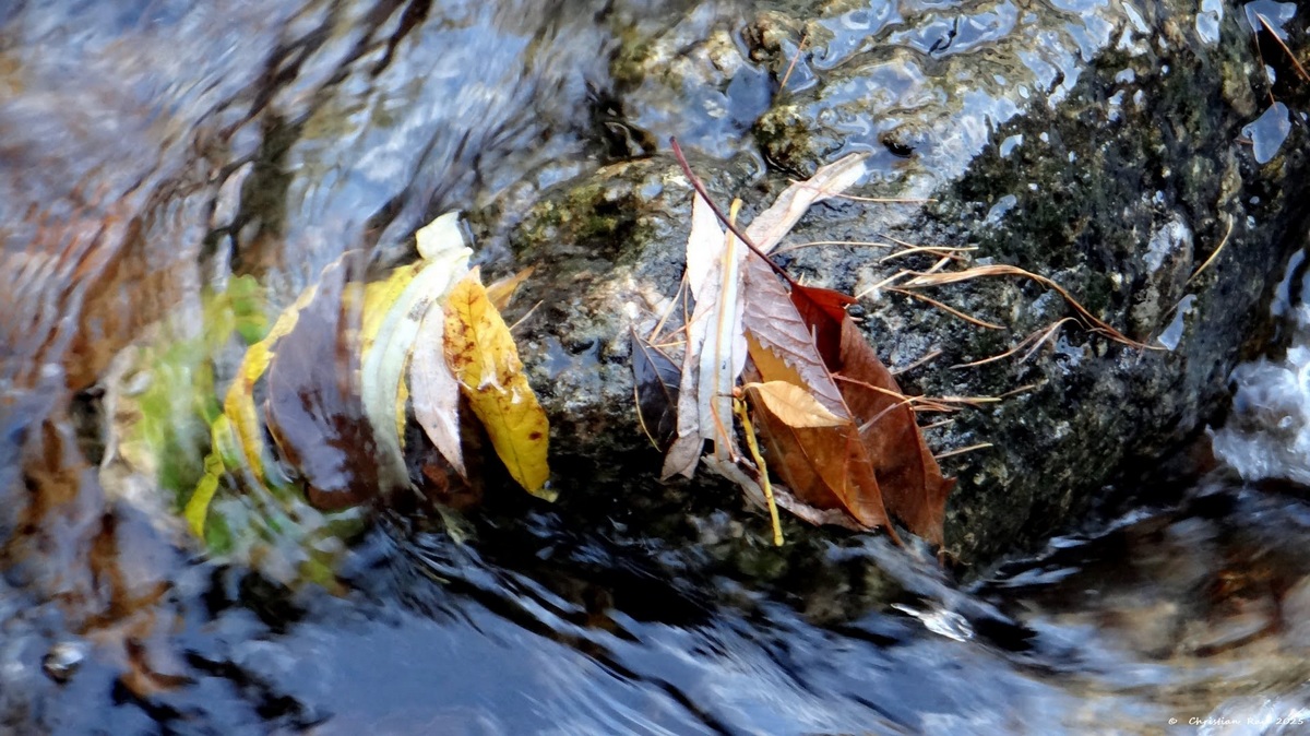 Composition mouvante sur la Clar&eacute;e, 1er novembre 2025 &copy; Christian Rau 2025