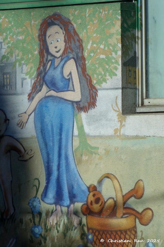 Estacade Cours Berriat Grenoble - mars 2024 (&copy;  C. Rau)