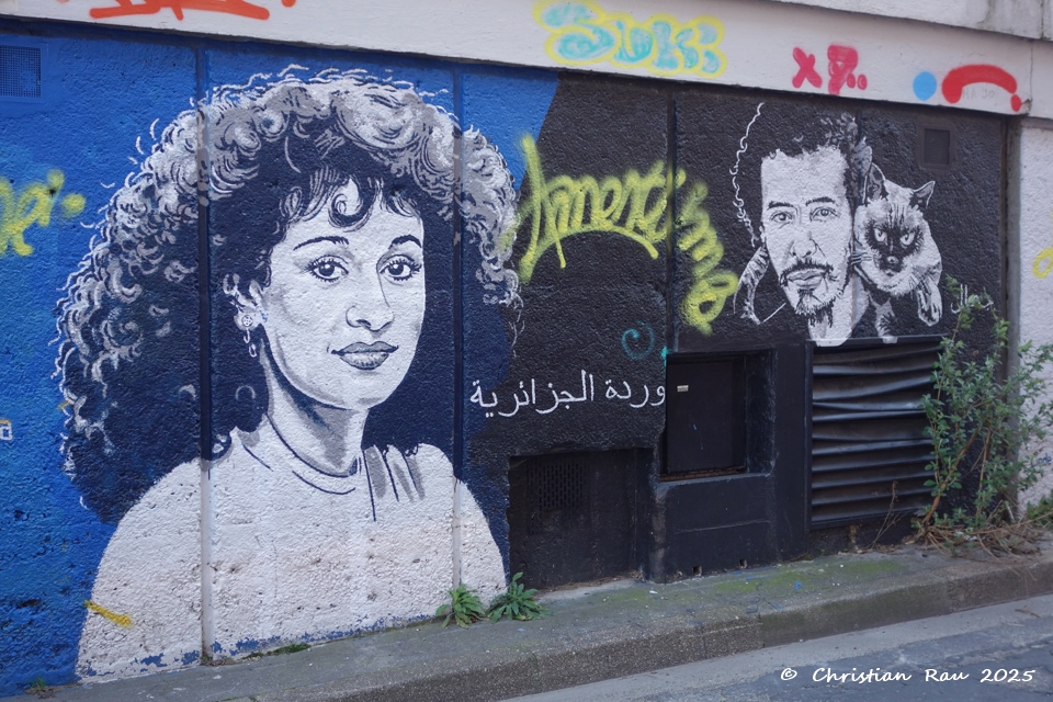 Estacade Cours Berriat Grenoble - mars 2024 (&copy;  C. Rau)