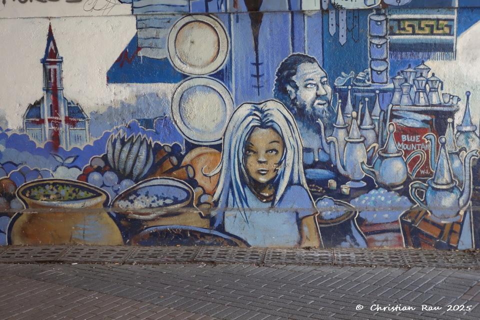 Estacade Cours Berriat Grenoble - mars 2024 (&copy;  C. Rau)