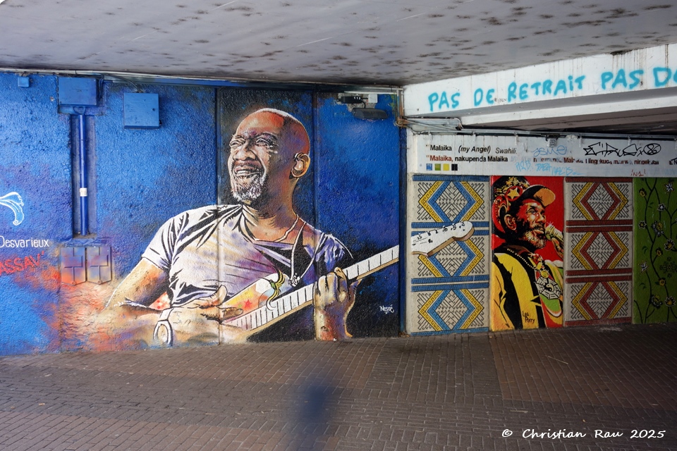 Estacade Cours Berriat Grenoble - mars 2024 (&copy;  C. Rau)