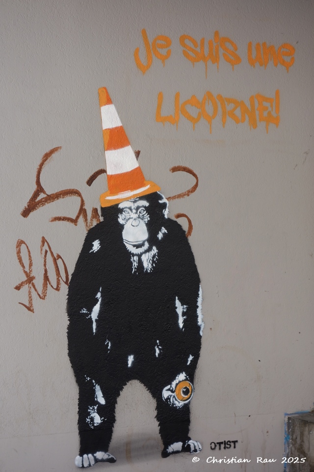 Street-Art Cours Berriat  - CR 2024